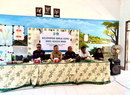 WhatsApp Image 2025-11-08 at 2.37.49 PM