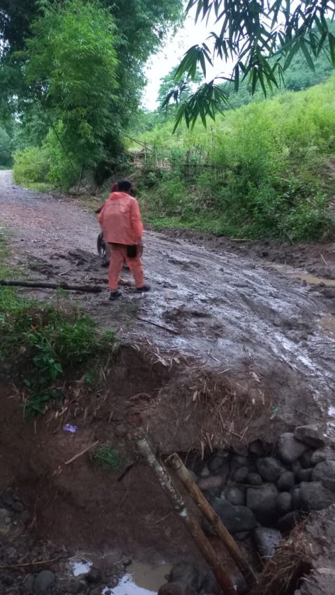 WhatsApp Image 2025-11-25 at 5.35.53 PM