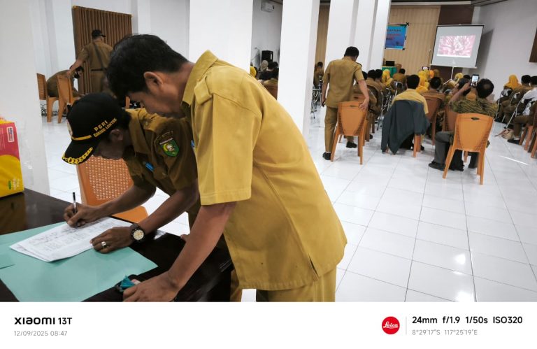 WhatsApp Image 2025-12-09 at 9.05.32 AM