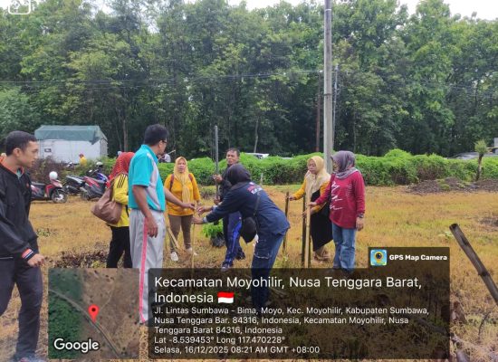 WhatsApp Image 2025-12-16 at 8.22.53 AM